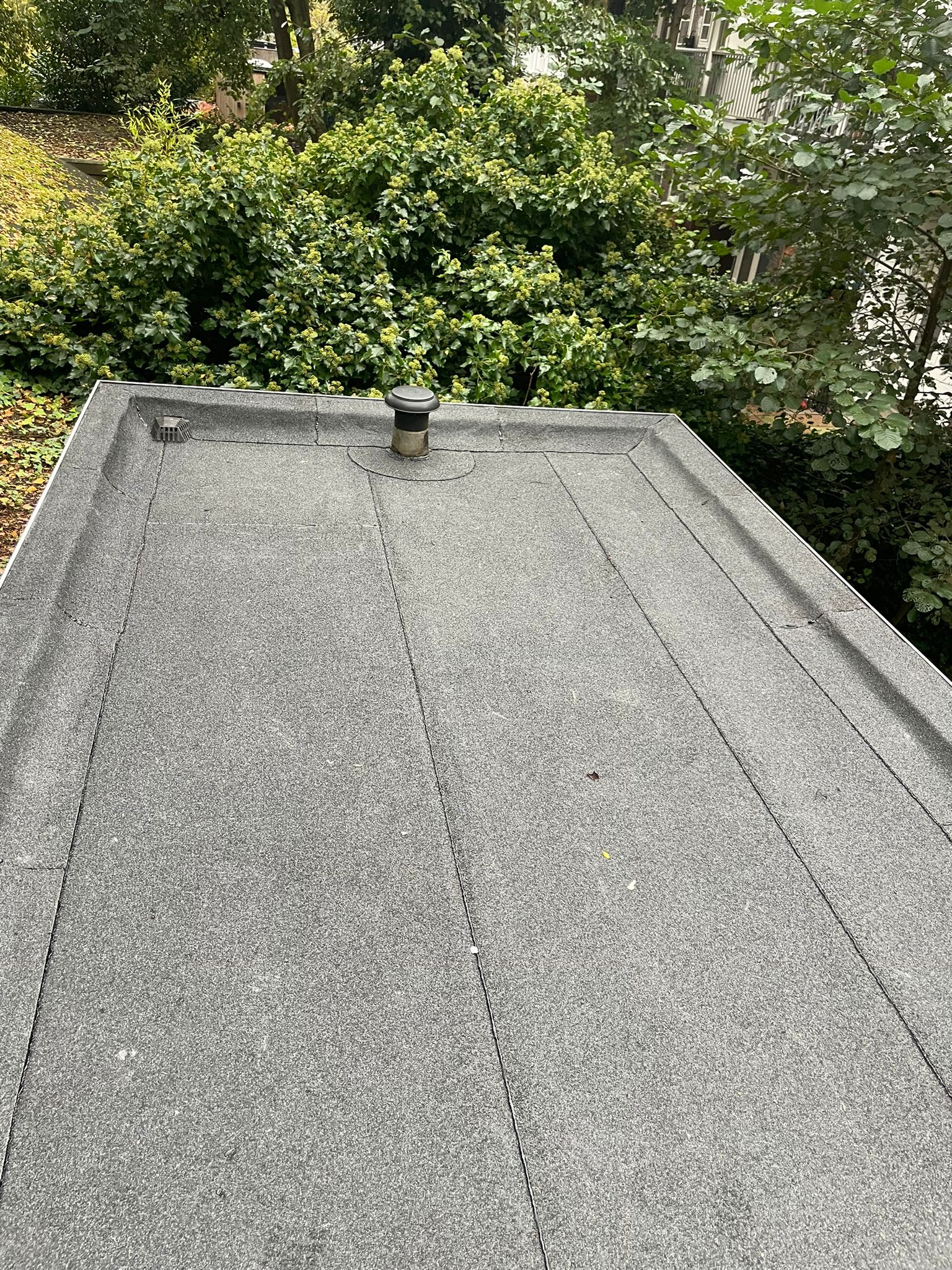 Plat dak vernieuwd door DakDienstService