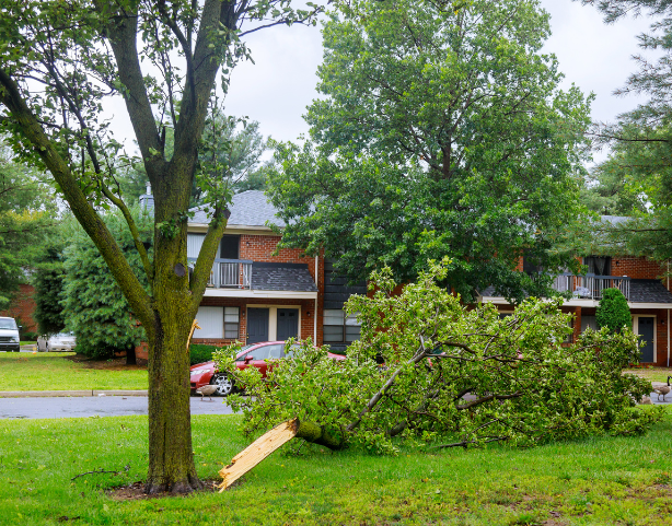 Stormschade? Zo voorkom je dat je dak het begeeft